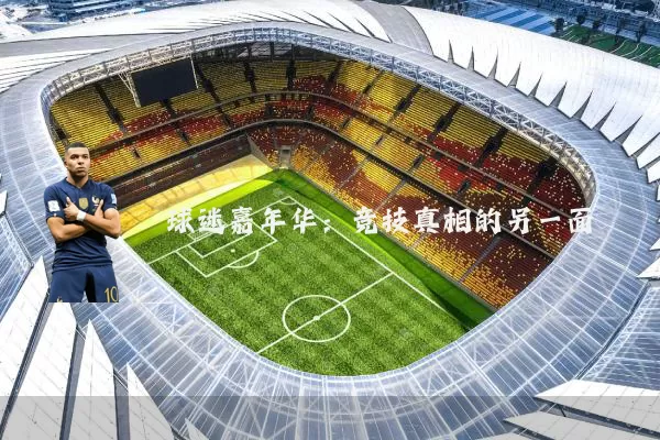 球迷嘉年华:竞技真相的另一面
