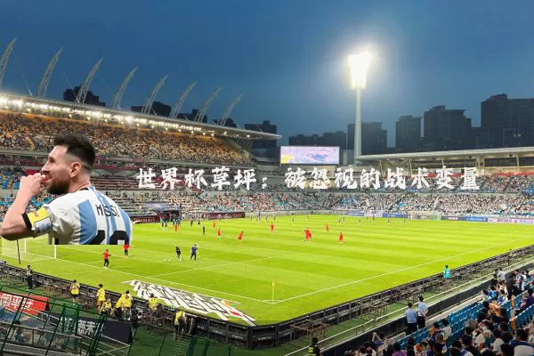 世界杯草坪:被忽视的战术变量